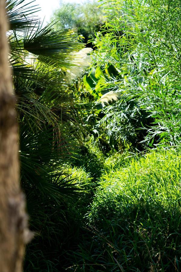 A Natural Retreat Mijas Exteriér fotografie